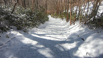 gx015123.mp4_snapshot_00.00_thumb.jpg