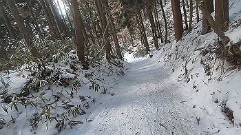 gx015124.mp4_snapshot_00.00_thumb.jpg