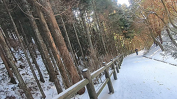 gx015124.mp4_snapshot_01.38_thumb.jpg