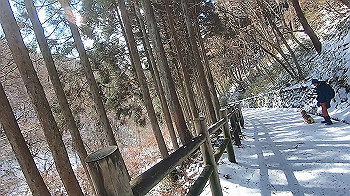 gx015124.mp4_snapshot_04.46_thumb.jpg