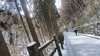 gx015124.mp4_snapshot_05.14_thumb.jpg