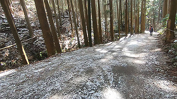 gx015128.mp4_snapshot_00.07_thumb.jpg