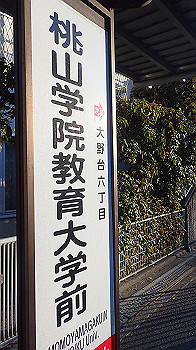 p2250228_thumb.jpg