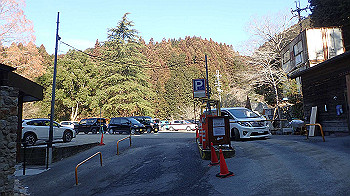 p2250235_thumb.jpg