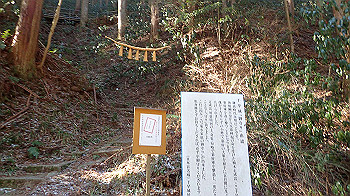p2250243_thumb.jpg