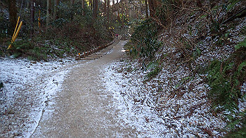 p2250250_thumb.jpg