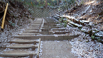 p2250255_thumb.jpg