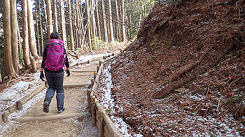 p2250263_thumb.jpg