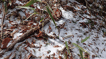p2250264_thumb.jpg