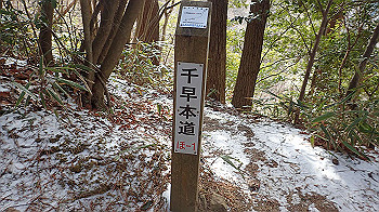p2250265_thumb.jpg