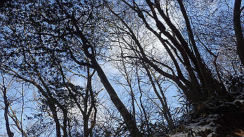 p2250273_thumb.jpg