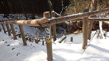 p2250274_thumb.jpg