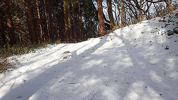 p2250276_thumb.jpg