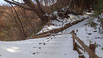 p2250277_thumb.jpg