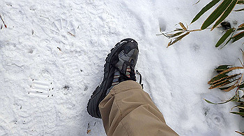 p2250294_thumb.jpg
