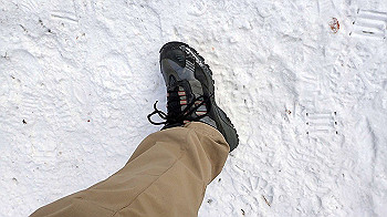 p2250295_thumb.jpg
