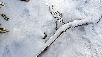 p2250298_thumb.jpg