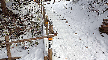 p2250301_thumb.jpg