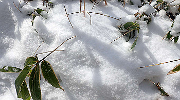 p2250312_thumb.jpg