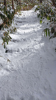 p2250314_thumb.jpg