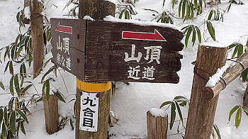 p2250318_thumb.jpg
