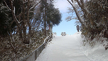 p2250342_thumb.jpg