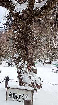 p2250345_thumb.jpg