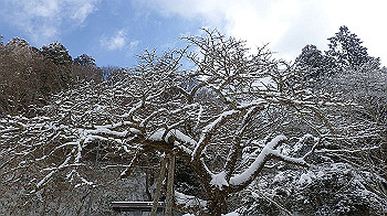 p2250352_thumb.jpg