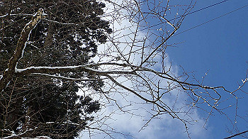 p2250356_thumb.jpg