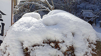 p2250373_thumb.jpg