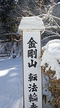 p2250374_thumb.jpg