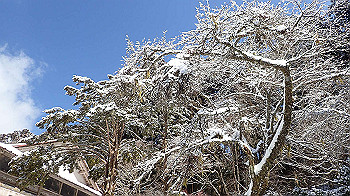 p2250376_thumb.jpg