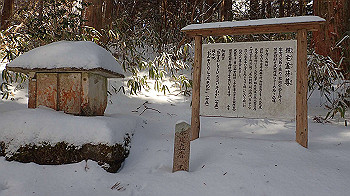 p2250393_thumb.jpg