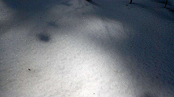 p2250401_thumb.jpg