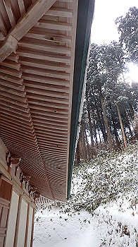 p2250403_thumb.jpg