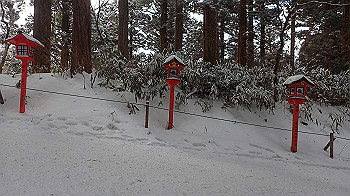 p2250407_thumb.jpg