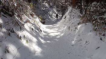 p2250415_thumb.jpg