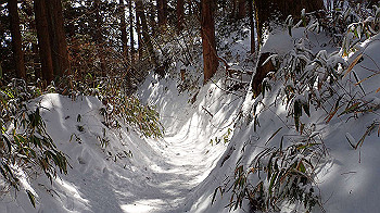 p2250417_thumb.jpg