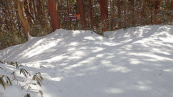 p2250418_thumb.jpg