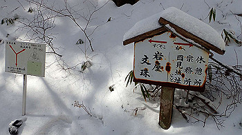 p2250419_thumb.jpg