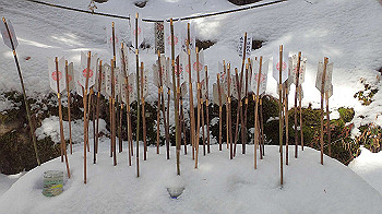 p2250422_thumb.jpg