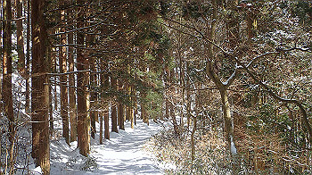 p2250426_thumb.jpg