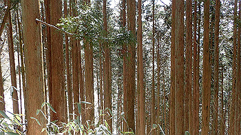 p2250428_thumb.jpg