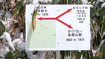 p2250441_thumb.jpg