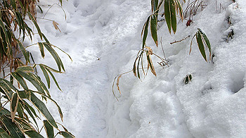 p2250442_thumb.jpg