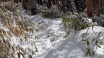 p2250444_thumb.jpg