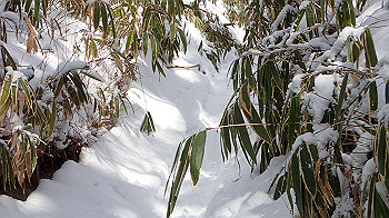 p2250445_thumb.jpg