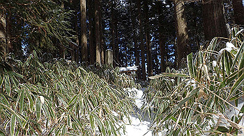 p2250446_thumb.jpg