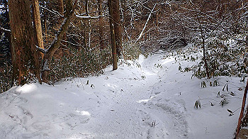 p2250453_thumb.jpg