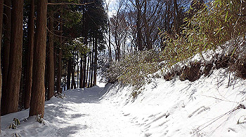 p2250458_thumb.jpg